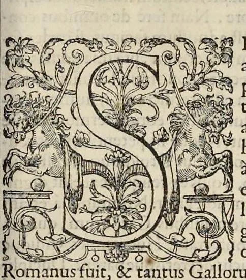 An illustration from Opera Ioan. Goropii Becani : hactenus in lucem non edita : nempe, Hermathena, Hieroglyphica, Vertvmnvs, Gallica, Francica, Hispanica, 1580, leaf 698