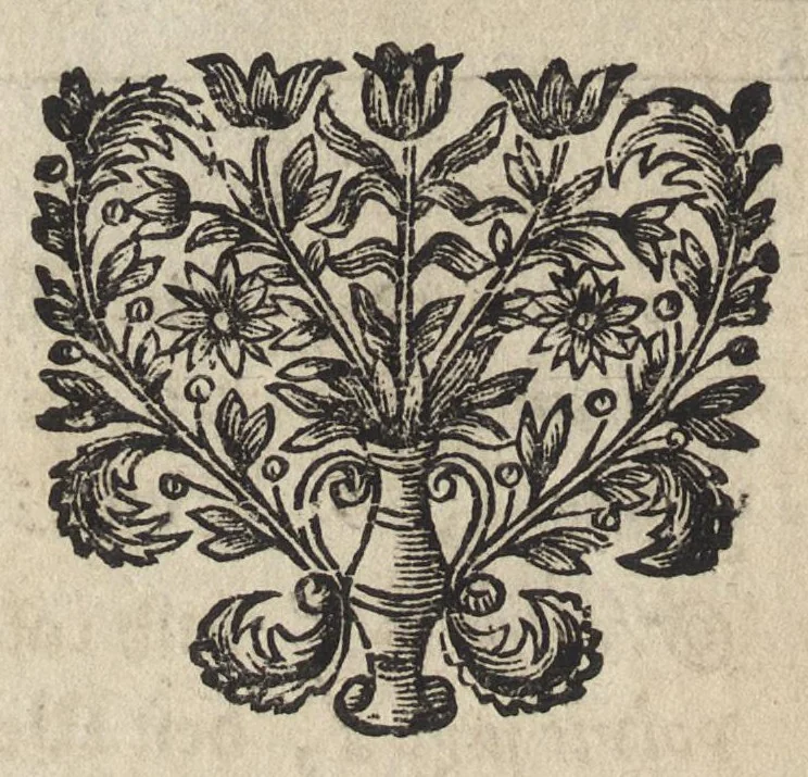 An illustration from Le miroir de l'art et de la nature : qui represente par des planches en taille douce presque tous les ouvrages de l'art & de la nature, des sciences & des métiers : en trois languages, françoise, latine, & allemande, 1691, leaf 237