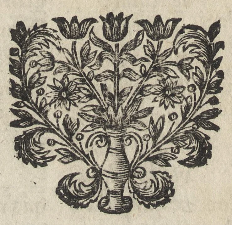 An illustration from Le miroir de l'art et de la nature : qui represente par des planches en taille douce presque tous les ouvrages de l'art & de la nature, des sciences & des métiers : en trois languages, françoise, latine, & allemande, 1691, leaf 273