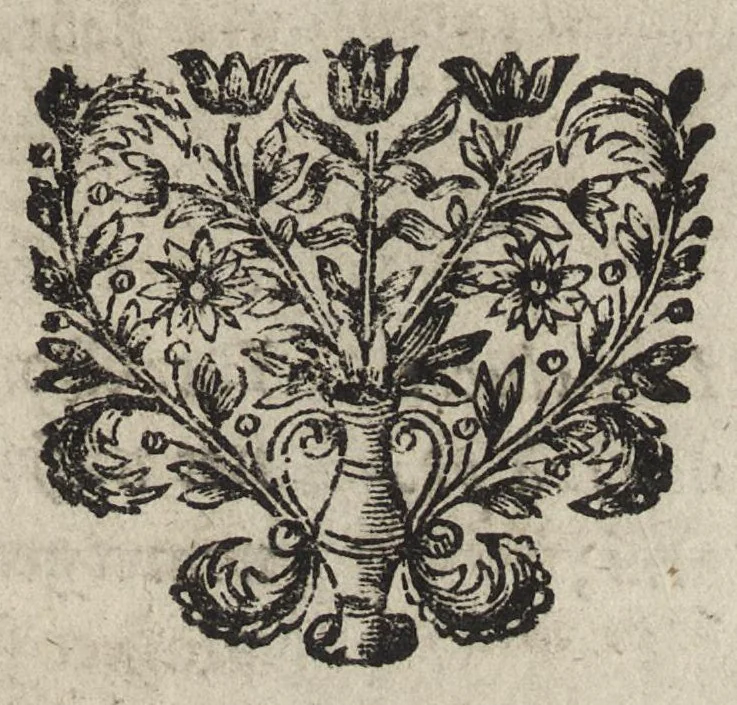 An illustration from Le miroir de l'art et de la nature : qui represente par des planches en taille douce presque tous les ouvrages de l'art & de la nature, des sciences & des métiers : en trois languages, françoise, latine, & allemande, 1691, leaf 360