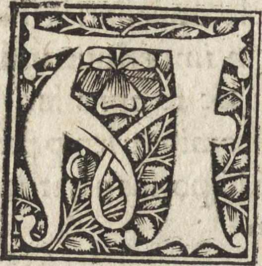 An illustration from Antiqvitates vrbis, 1527, leaf 139