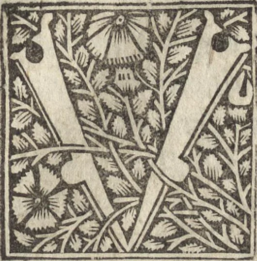 An illustration from Antiqvitates vrbis, 1527, leaf 220