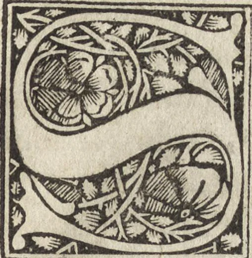 An illustration from Antiqvitates vrbis, 1527, leaf 228