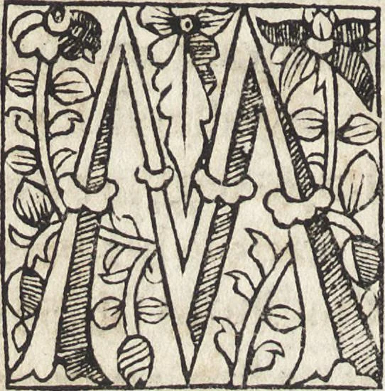 An illustration from Antiqvitates vrbis, 1527, leaf 53