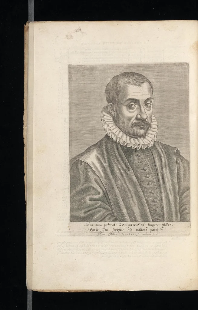 An illustration from Tables anatomiqves, avec les povrtraicts et declaration d'iceulx : ensemble vn denombrement de cinq cens maladies diuerses ..., 1586, leaf 15