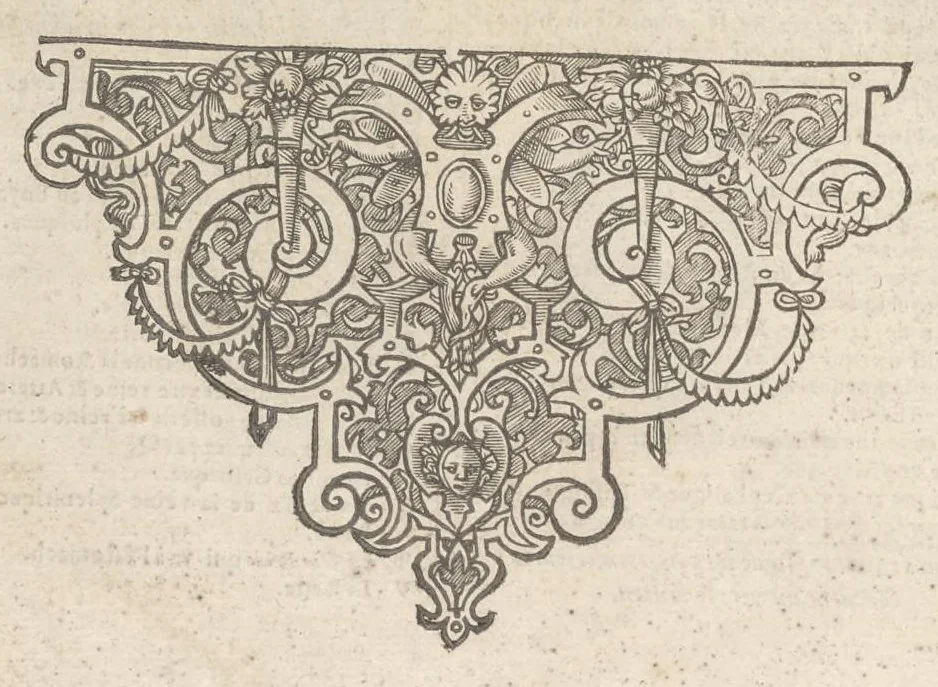 An illustration from Tables anatomiqves, avec les povrtraicts et declaration d'iceulx : ensemble vn denombrement de cinq cens maladies diuerses ..., 1586, leaf 63