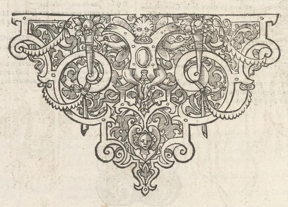 An illustration from Tables anatomiqves, avec les povrtraicts et declaration d'iceulx : ensemble vn denombrement de cinq cens maladies diuerses ..., 1586, leaf 87