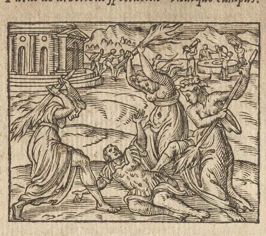 An illustration from Pvb. Ovidii Nasonis Metamorphoseon libri XV : post omnes omnium editiones emendati, & recens cum scholiis in margine, ac breuissimis in singulas quasque fabulas argumentis illustrati, tum artificiosis picturis : in gratiam studiosae iuuentutis, nunc primum editis : cum indice fabularum copiosissimo, 1583, leaf 139