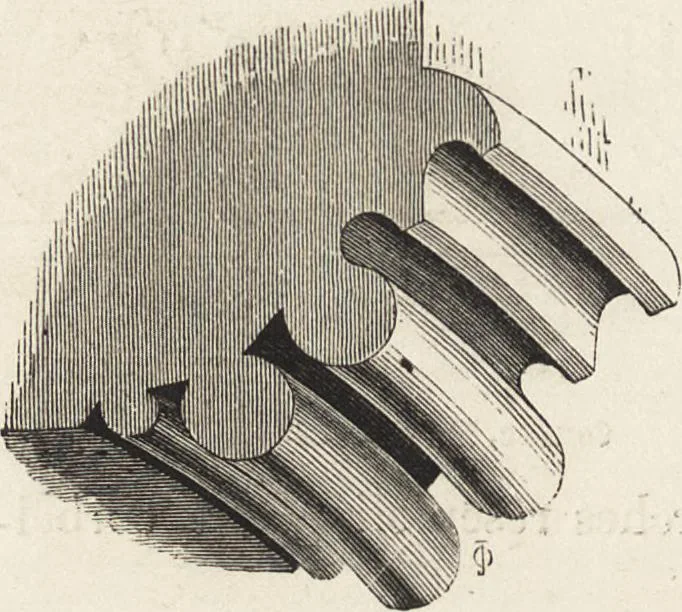 An illustration from An attempt to discriminate the styles of architecture in England : from the Conquest to the Reformation ; with a sketch of the Grecian and Roman orders /by the late Thomas Rickman, 1881, leaf 171