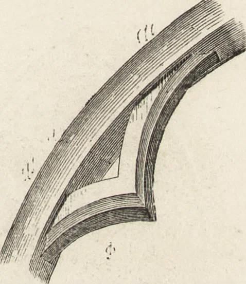 An illustration from An attempt to discriminate the styles of architecture in England : from the Conquest to the Reformation ; with a sketch of the Grecian and Roman orders /by the late Thomas Rickman, 1881, leaf 206