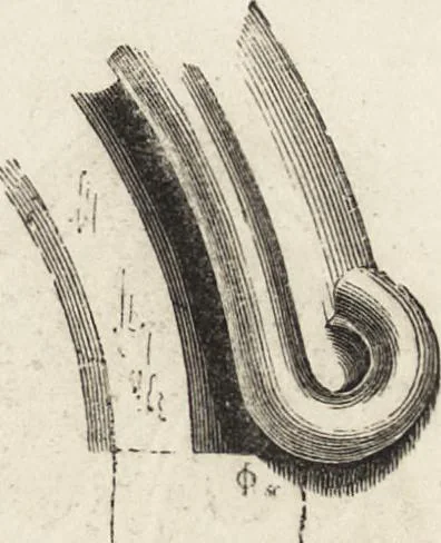 An illustration from An attempt to discriminate the styles of architecture in England : from the Conquest to the Reformation ; with a sketch of the Grecian and Roman orders /by the late Thomas Rickman, 1881, leaf 256