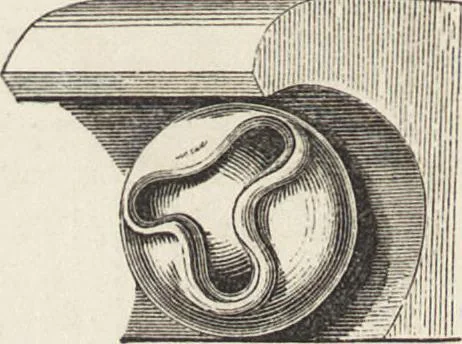 An illustration from An attempt to discriminate the styles of architecture in England : from the Conquest to the Reformation ; with a sketch of the Grecian and Roman orders /by the late Thomas Rickman, 1881, leaf 261
