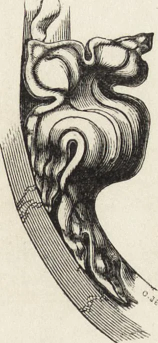 An illustration from An attempt to discriminate the styles of architecture in England : from the Conquest to the Reformation ; with a sketch of the Grecian and Roman orders /by the late Thomas Rickman, 1881, leaf 346