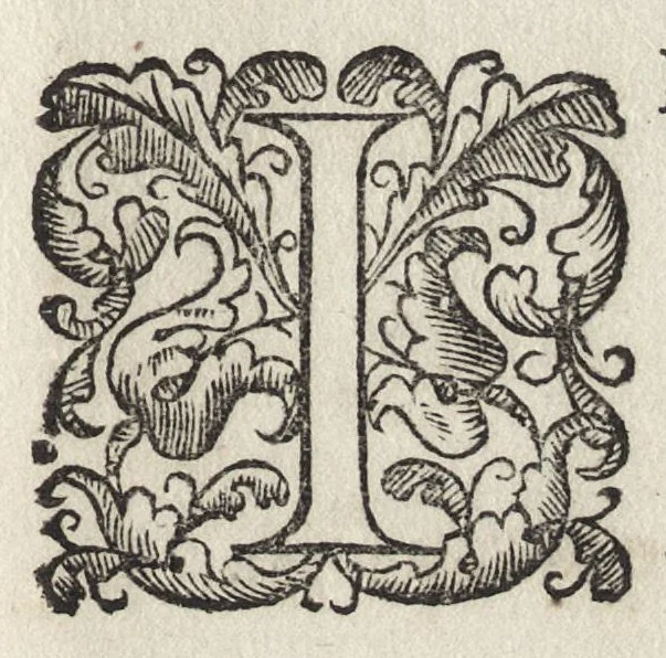 An illustration from Trattato di Camillo Agrippa milanese di trasportar la gvglia in sv la piazza di San Pietro .., 1583, leaf 6
