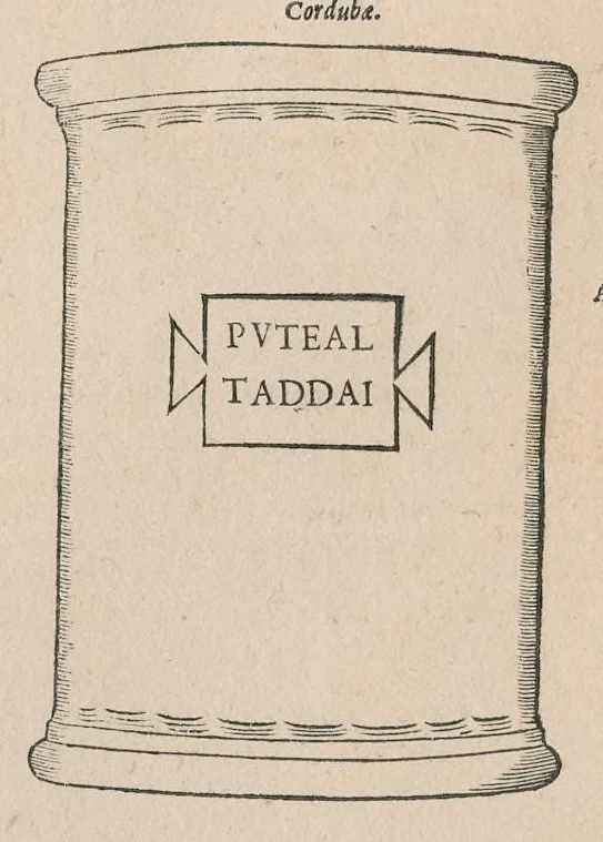 An illustration from Inscriptionvm antiqvarvm quae passim per Europam liber : accessit avctarivm a Ivsto Lipsio, 1588, leaf 466