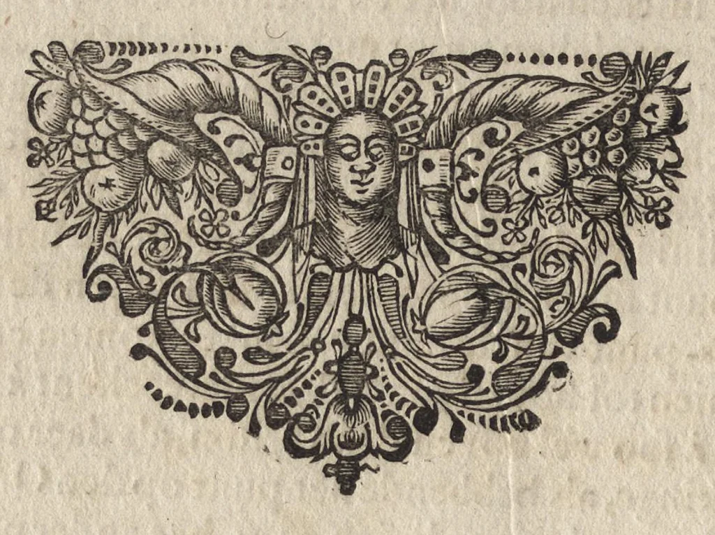 An illustration from Grondige onderrichtinge in de optica, ofte, Perspective konste, 1647, leaf 31