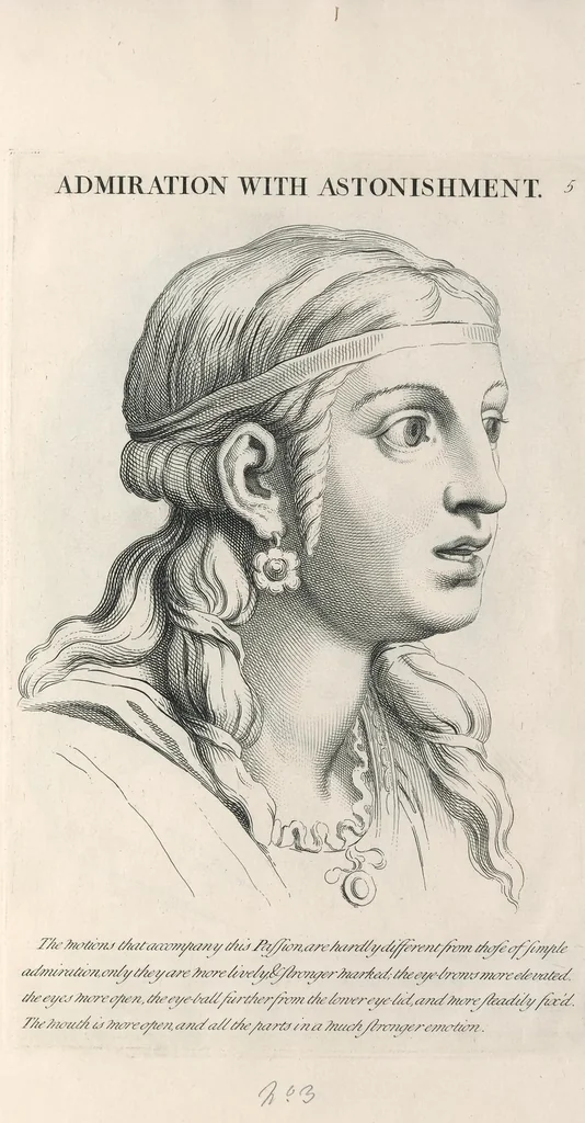 An illustration from Monsr. Le Brun's Expressions of the passions of the soul, leaf 12