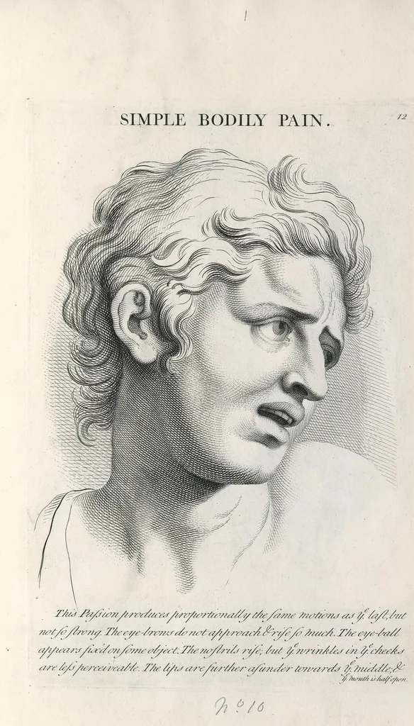 An illustration from Monsr. Le Brun's Expressions of the passions of the soul, leaf 26