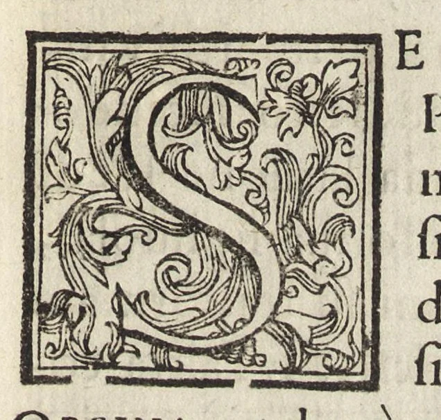 An illustration from Del compendio dell'istoria del regno di Napoli prima[seconda] parte, 1591, leaf 8