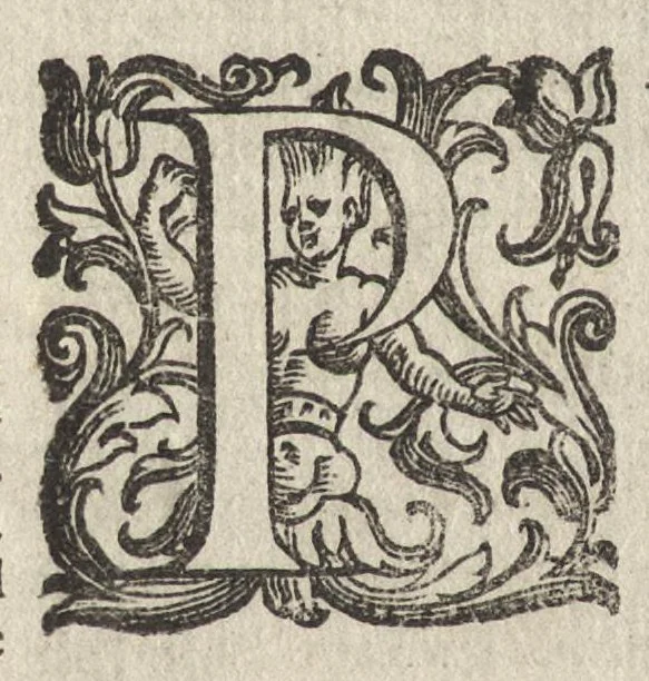 An illustration from Del compendio dell'istoria del regno di Napoli prima[seconda] parte, 1591, leaf 671