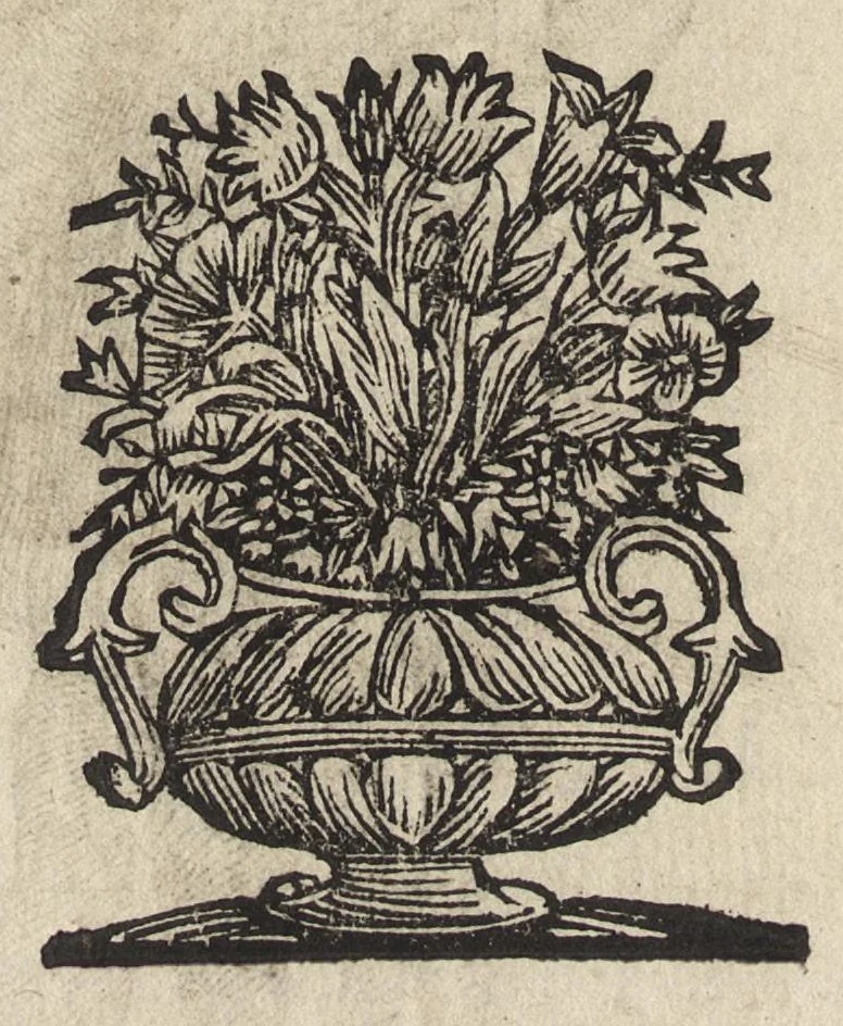 An illustration from Il torneo di Bonauentura Pistofilo nobile ferrarese, dottor di legge e caualiere, nel Teatro di Pallade dell'ordine militare et accademico, 1627, leaf 381