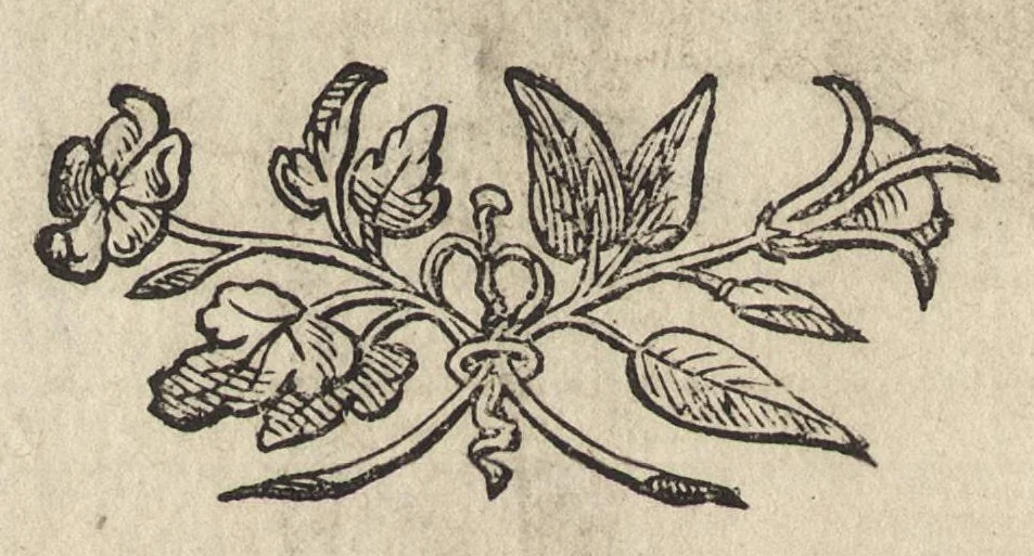 An illustration from Il torneo di Bonauentura Pistofilo nobile ferrarese, dottor di legge e caualiere, nel Teatro di Pallade dell'ordine militare et accademico, 1627, leaf 383