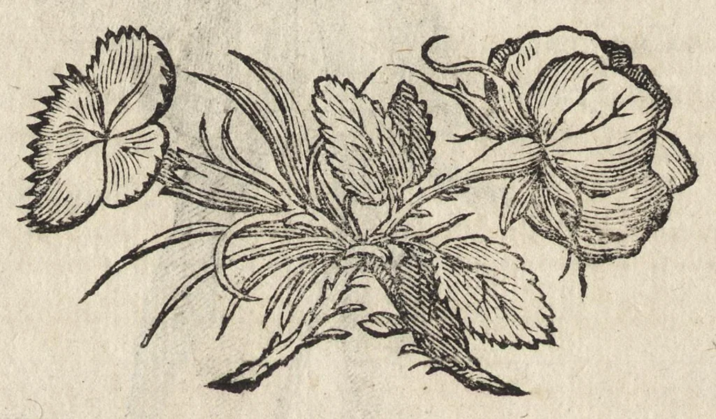 An illustration from Il torneo di Bonauentura Pistofilo nobile ferrarese, dottor di legge e caualiere, nel Teatro di Pallade dell'ordine militare et accademico, 1627, leaf 413