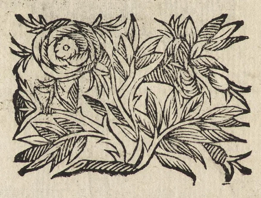 An illustration from Il torneo di Bonauentura Pistofilo nobile ferrarese, dottor di legge e caualiere, nel Teatro di Pallade dell'ordine militare et accademico, 1627, leaf 415