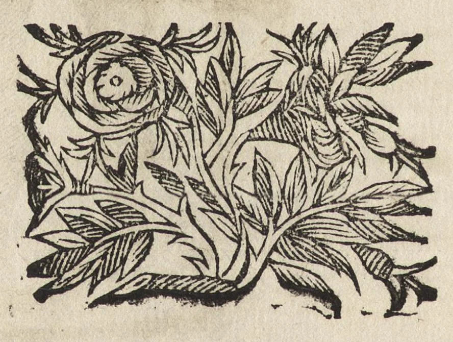 An illustration from Il torneo di Bonauentura Pistofilo nobile ferrarese, dottor di legge e caualiere, nel Teatro di Pallade dell'ordine militare et accademico, 1627, leaf 459