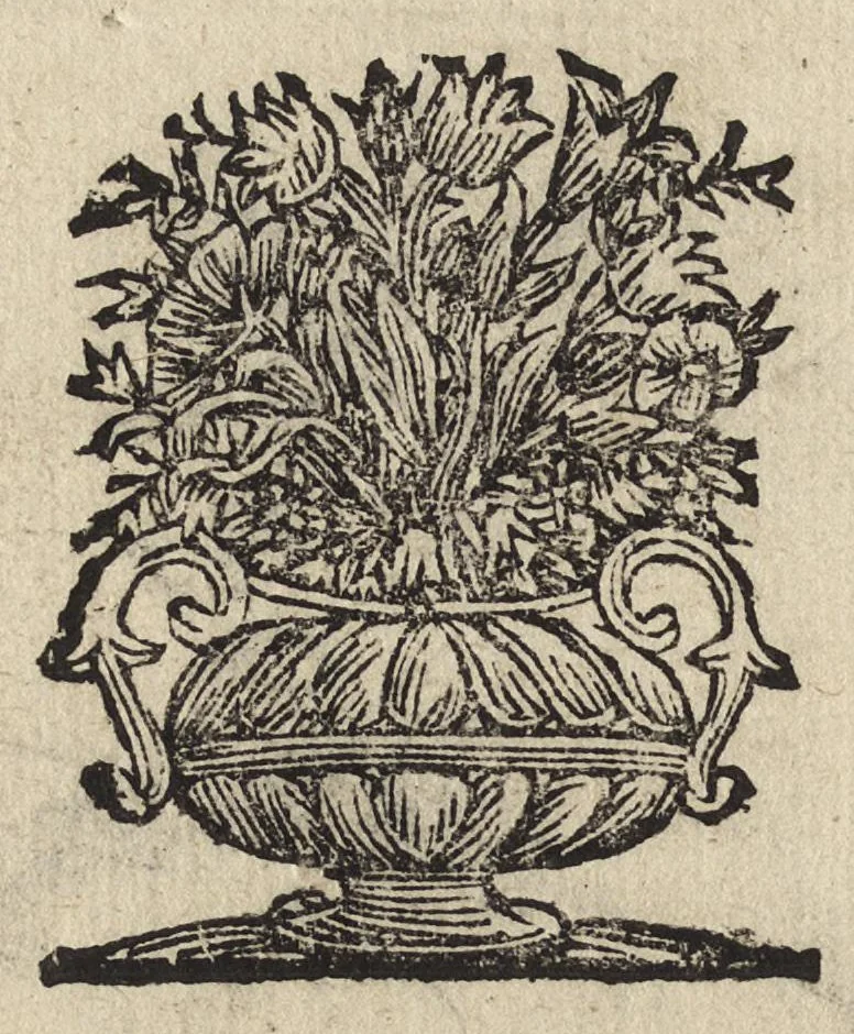 An illustration from Il torneo di Bonauentura Pistofilo nobile ferrarese, dottor di legge e caualiere, nel Teatro di Pallade dell'ordine militare et accademico, 1627, leaf 581