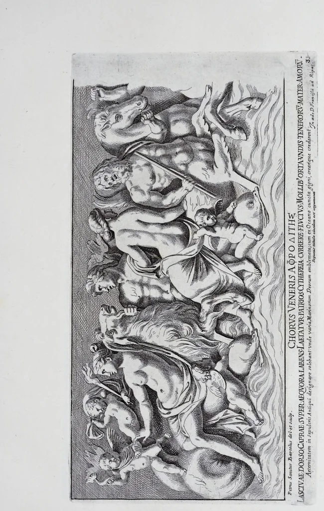 An illustration from Admiranda Romanarum antiquitatum ac veteris sculpturae vestigia : anaglyphico opere elaborata ex marmoreis exemplaribus quae Romae adhuc extant in Capitolio, aedibus hortisque virorum principum ad antiquam elegantiam, 1693, leaf 64