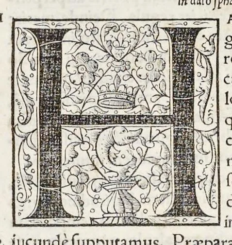 An illustration from Orontii Finei delphinatis, liberalivm disciplinarvm professoris regii, Protomathesis : opus uarium, ac scitu non minus utile quàm iucundum, nunc primùm in lucem foeliciter emissum : cuius index uniuersalis in uersa pagina continetur, 1532, leaf 380