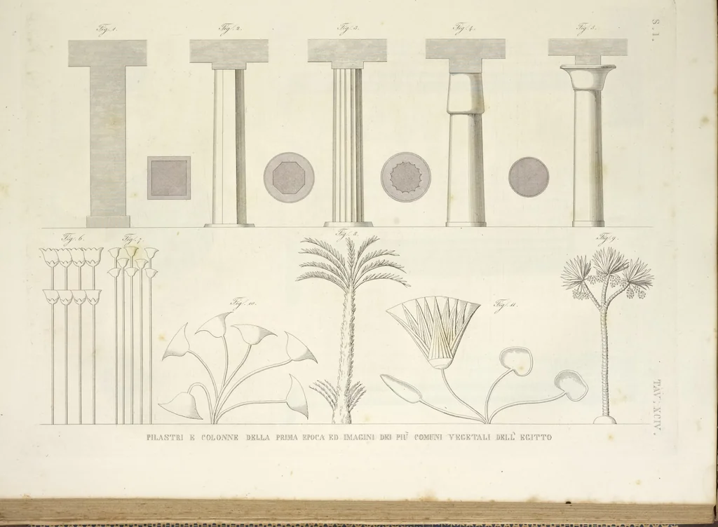 An illustration from L'architettura antica descritta e dimostrata coi monumenti ... : opera divisa in tre sezioni risguardanti la storia, la teorica, e le pratiche dell' architettura egiziana, greca e romana, 1830, leaf 210