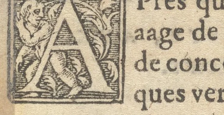 An illustration from Le catalogve des villes et citez assises es trois Gavles : auec le bastiment, erection, & fondation d'icelles : plus vn traicté de la proprieté des bains, fleuues, & fontaines admirables, 1575, leaf 15