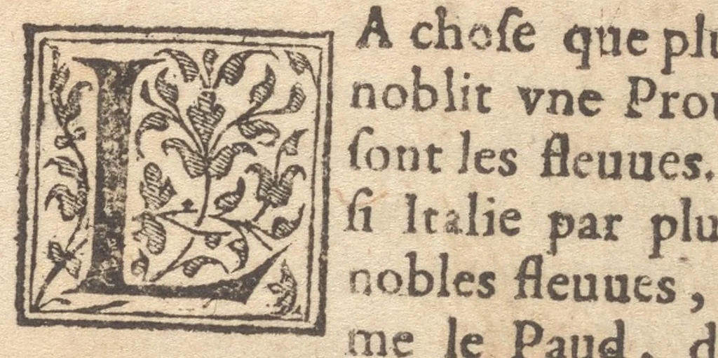 An illustration from Le catalogve des villes et citez assises es trois Gavles : auec le bastiment, erection, & fondation d'icelles : plus vn traicté de la proprieté des bains, fleuues, & fontaines admirables, 1575, leaf 180