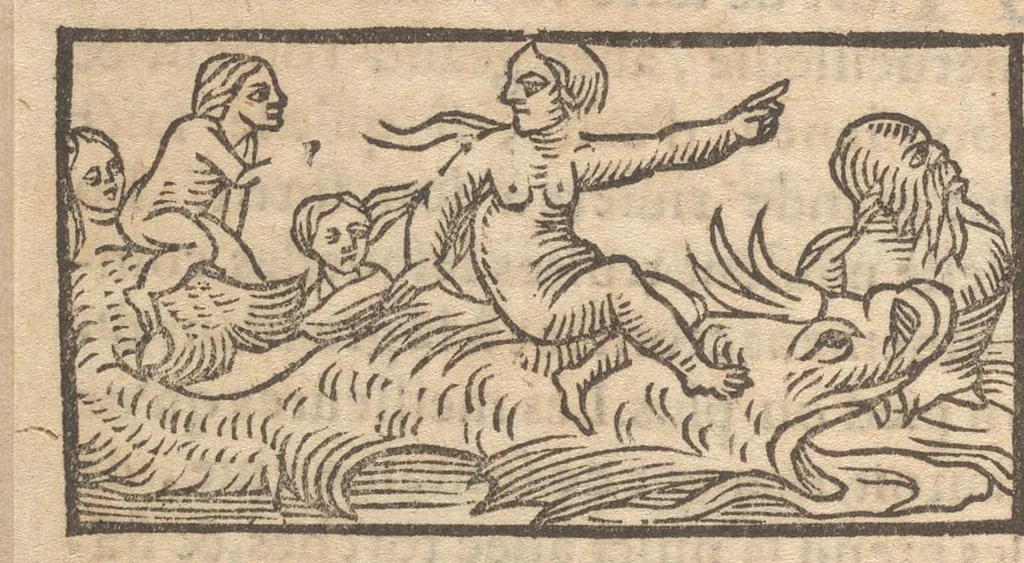 An illustration from Le catalogve des villes et citez assises es trois Gavles : auec le bastiment, erection, & fondation d'icelles : plus vn traicté de la proprieté des bains, fleuues, & fontaines admirables, 1575, leaf 205