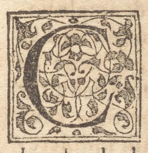 An illustration from Le catalogve des villes et citez assises es trois Gavles : auec le bastiment, erection, & fondation d'icelles : plus vn traicté de la proprieté des bains, fleuues, & fontaines admirables, 1575, leaf 214