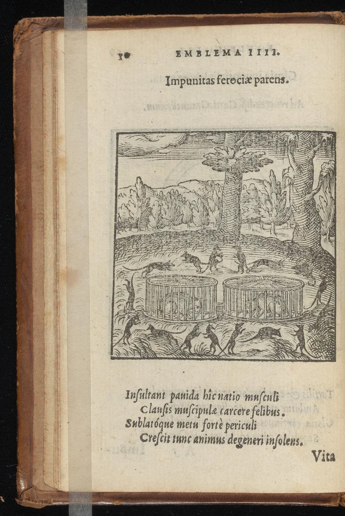 An illustration from Hadriani Iunii medici Emblemata : eiusdem ænigmatum libellus, 1569, leaf 13