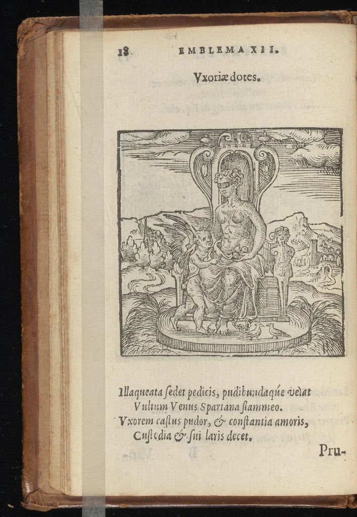 An illustration from Hadriani Iunii medici Emblemata : eiusdem ænigmatum libellus, 1569, leaf 21