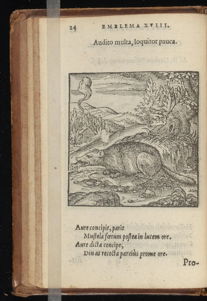 An illustration from Hadriani Iunii medici Emblemata : eiusdem ænigmatum libellus, 1569, leaf 27