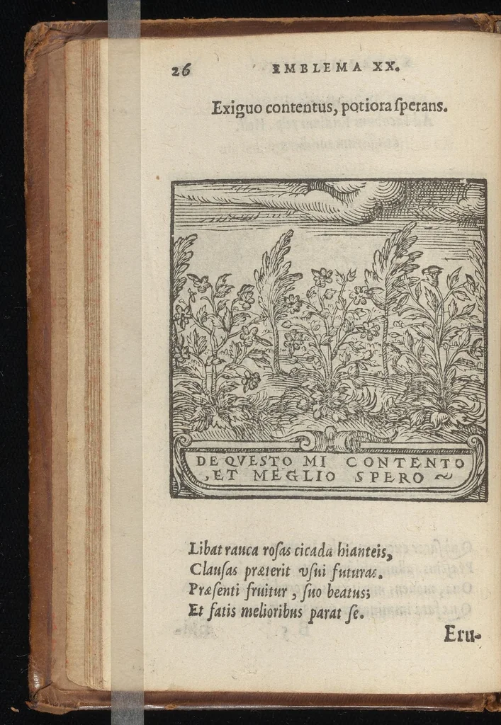 An illustration from Hadriani Iunii medici Emblemata : eiusdem ænigmatum libellus, 1569, leaf 29