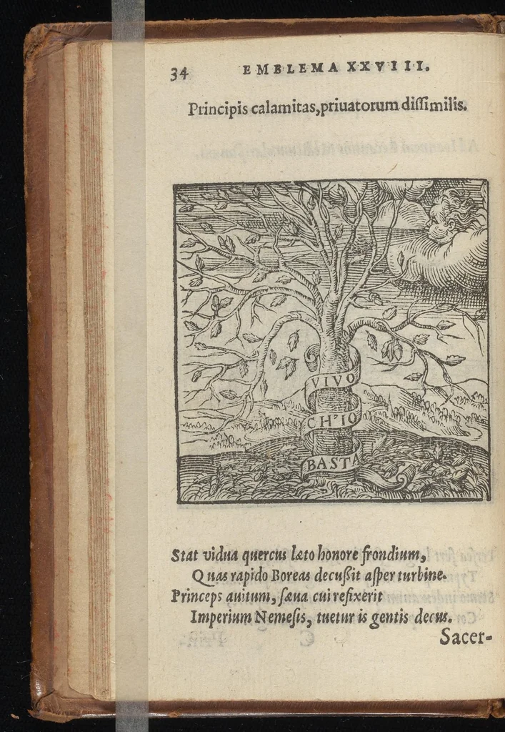 An illustration from Hadriani Iunii medici Emblemata : eiusdem ænigmatum libellus, 1569, leaf 37