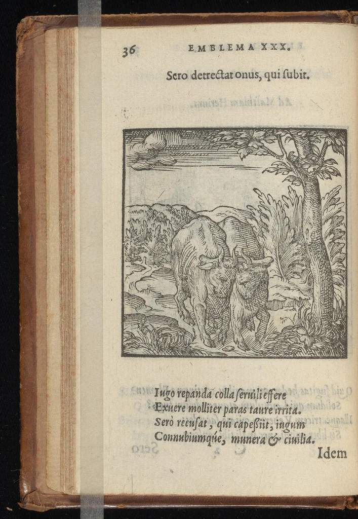 An illustration from Hadriani Iunii medici Emblemata : eiusdem ænigmatum libellus, 1569, leaf 39