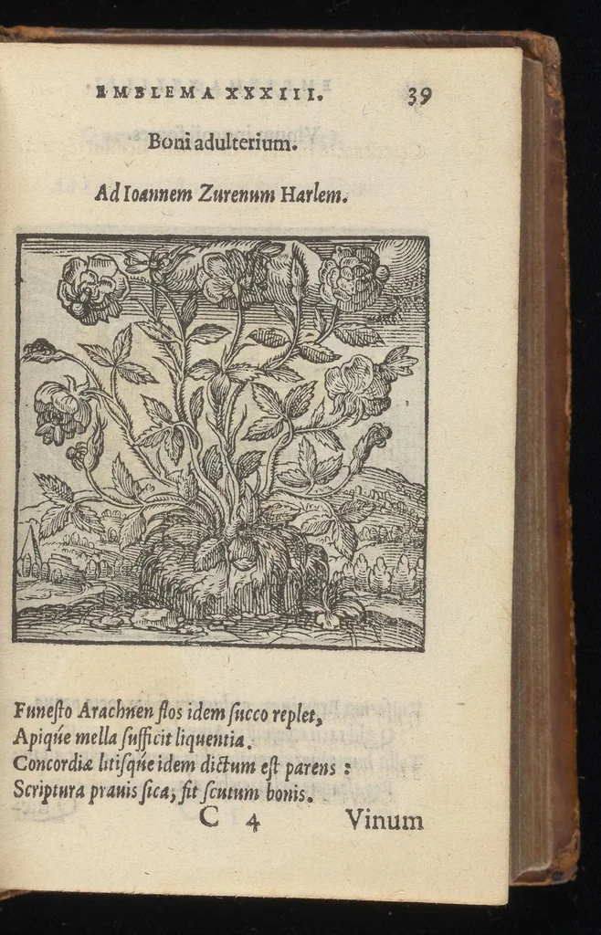 An illustration from Hadriani Iunii medici Emblemata : eiusdem ænigmatum libellus, 1569, leaf 42