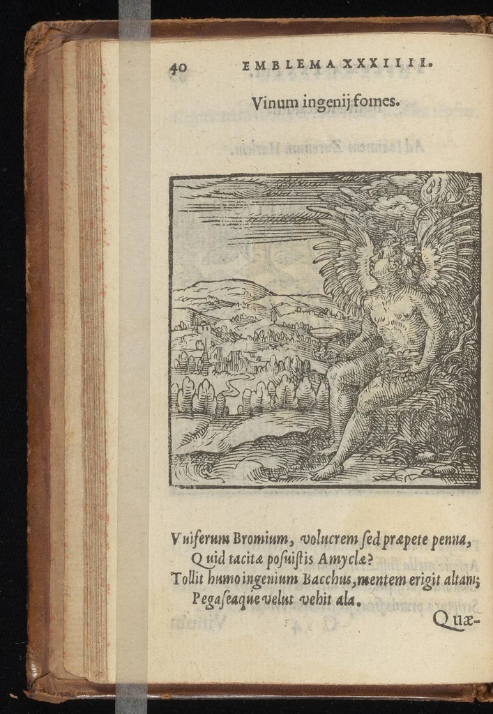 An illustration from Hadriani Iunii medici Emblemata : eiusdem ænigmatum libellus, 1569, leaf 43
