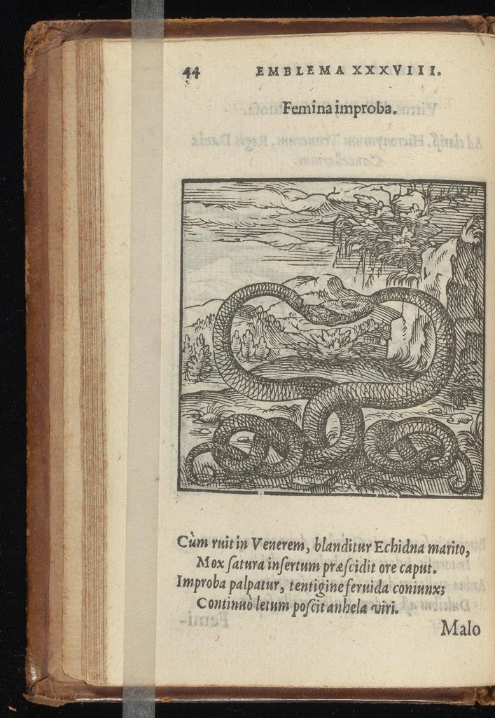 An illustration from Hadriani Iunii medici Emblemata : eiusdem ænigmatum libellus, 1569, leaf 47