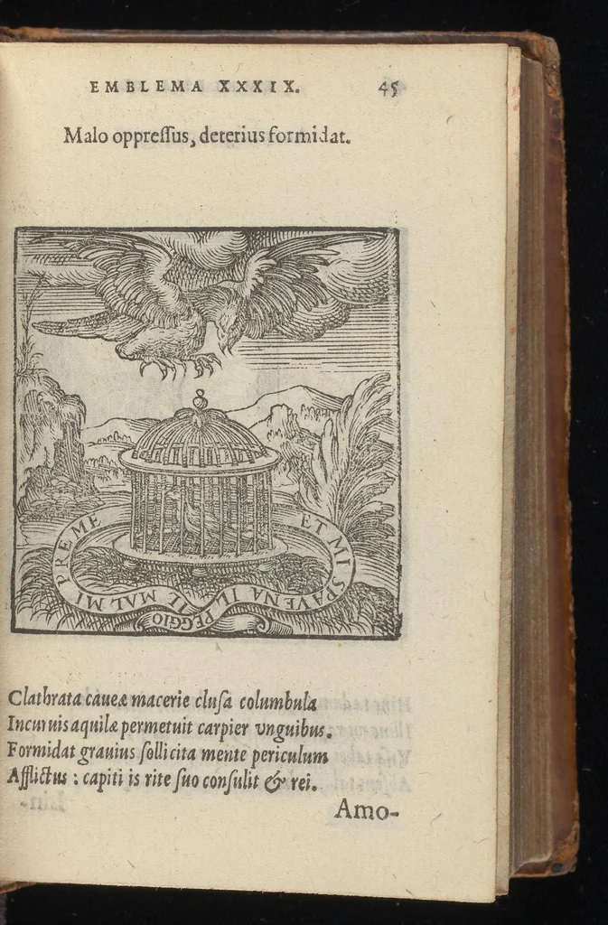 An illustration from Hadriani Iunii medici Emblemata : eiusdem ænigmatum libellus, 1569, leaf 48