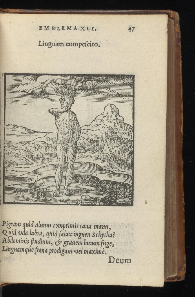 An illustration from Hadriani Iunii medici Emblemata : eiusdem ænigmatum libellus, 1569, leaf 50