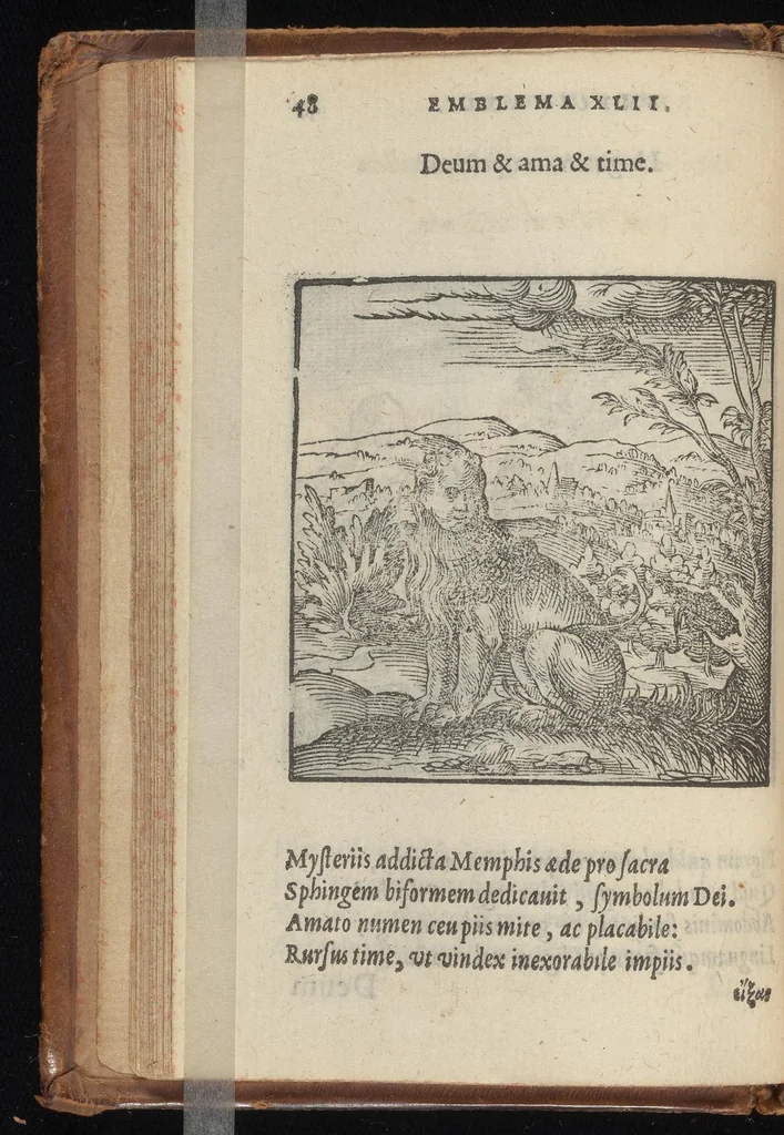 An illustration from Hadriani Iunii medici Emblemata : eiusdem ænigmatum libellus, 1569, leaf 51