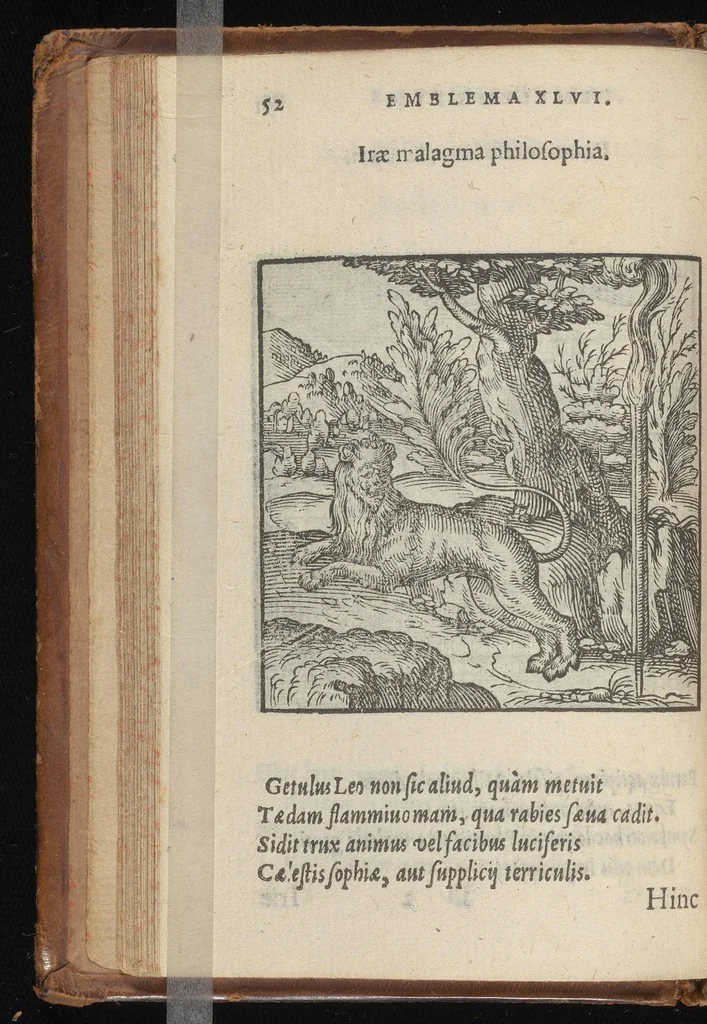 An illustration from Hadriani Iunii medici Emblemata : eiusdem ænigmatum libellus, 1569, leaf 55